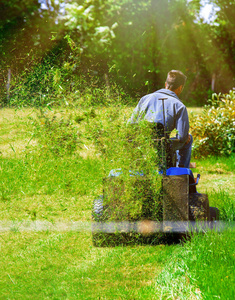 在阳光明媚的天气下, 坐在他的草坪拖拉机上修剪草坪的男子的后面视图