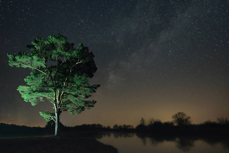 夜晚景观的河岸满天星斗的天空背景上的孤树