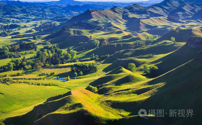 绿色的山丘风景,位置-新西兰