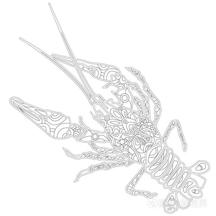 鳌虾外形图手绘图片