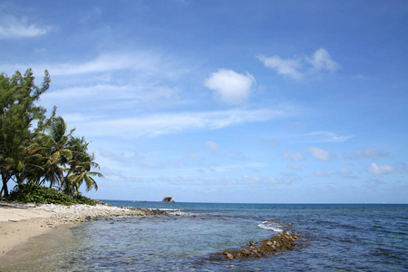 美丽的热带海滩与棕榈树, Gros 胰岛海岸线, 圣卢西亚, 加勒比