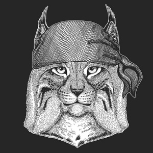 野猫猫山猫小跑凉爽海盗, 海员, seawolf, 水手, 摩托车动物纹身, t恤