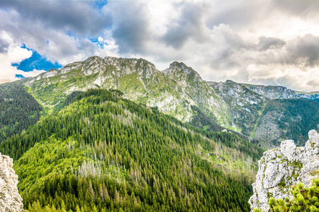 山的全景风景, 山顶与岩石和常青森林