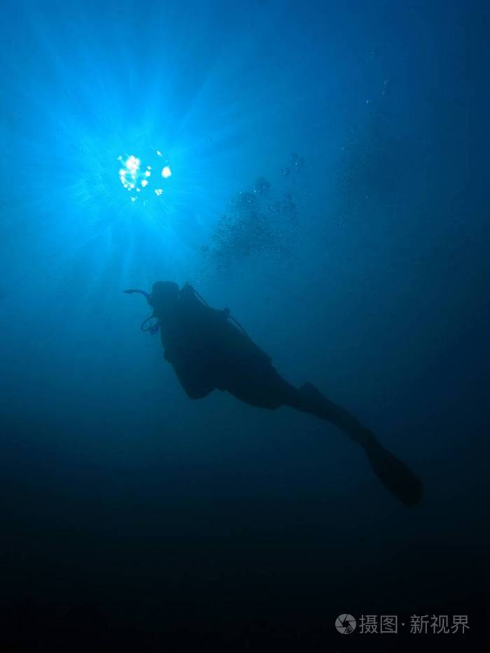 潜水员垂直水下照片-正版商用图片0nuyoz-摄图新视界