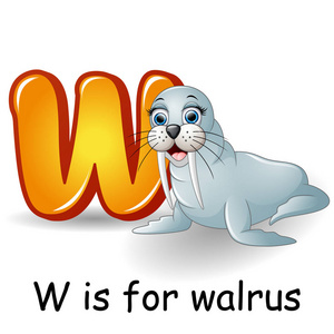 人物图标海象海狮北极熊插图涂鸦可爱的卡通海象动物主题的英文字母