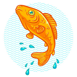 黄金鱼跳水