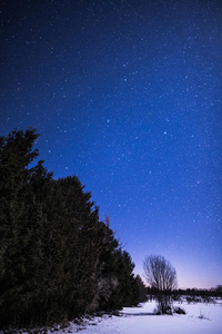 在晚上与树和星星的农村冬季景观。