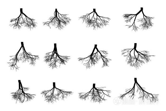 下载小样发票合同问题/举报一部分植物式插画上树树根根抽象灯泡灯与