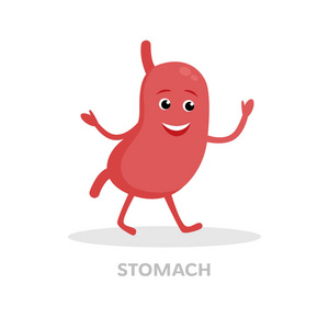 微笑的胃卡通字符被隔绝在白色背景.消化道, 胃图标向量扁平化设计.