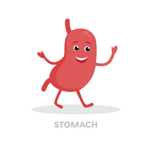 微笑的胃卡通字符被隔绝在白色背景。消化道, 胃图标向量扁平化设计。健康器官概念医学例证