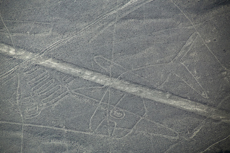 纳斯卡线条鲸鱼 geoglyph，秘鲁的鸟瞰图