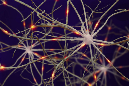 人脑神经网络中的电脉冲照片