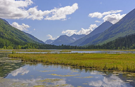 在山区湿地湖