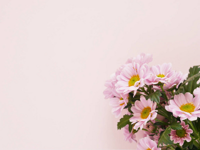 粉红色花朵的美丽花朵的照片粉色背景下的纹理图案