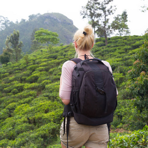 女游客享受美丽的大自然的茶叶种植园，斯里兰卡