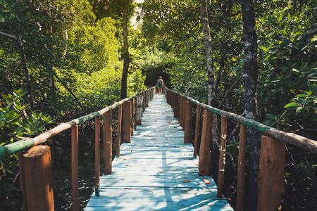 蓝天下的木桥通向丛林图片