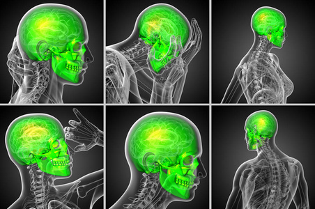 3d 渲染医学插图的头骨