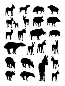 野猪, 驴, 貘细节剪影。向量, 插图。良好的使用符号, 标志, 网页图标, 吉祥物, 标志, 或任何你想要的设计