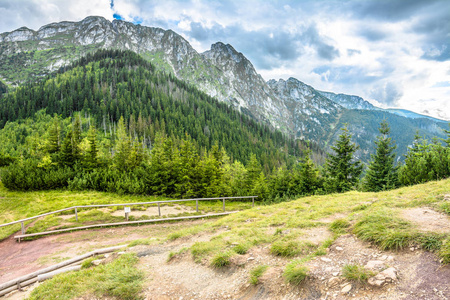 山的风景, 徒步旅行足迹在岩石山被盖的常青森林之下