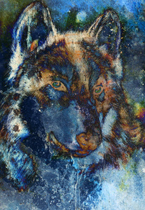 大灰狼的头靠在抽象结构化的背景下，多色图形拼贴