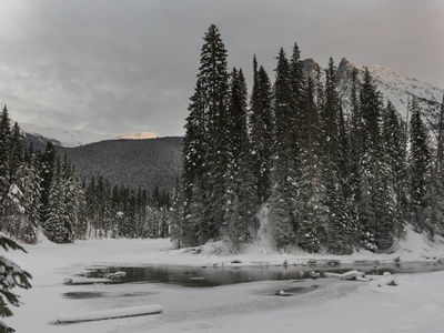 在冰雪覆盖的山谷中流动的冬季, 翡翠湖, 约霍国家公园, 不列颠哥伦比亚省, 加拿大