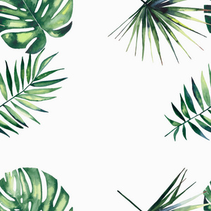明亮美丽绿色草本热带精彩夏威夷花卉夏季热带棕榈树帧水彩手图