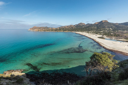 在 Ostriconi 海滩在科西嘉岛的绿松石地中海