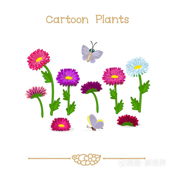 植物界系列卡通植物 紫苑