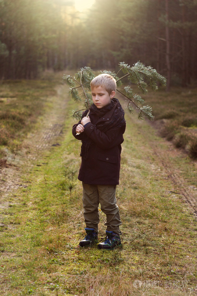 漂亮的小男孩,在森林里举行的圣诞树