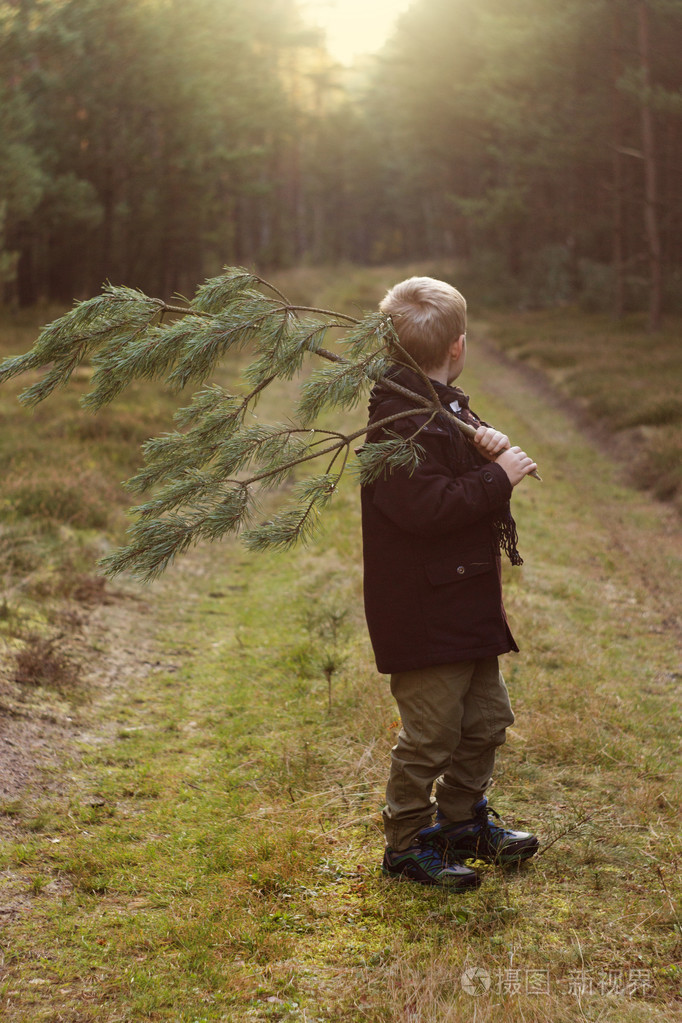 漂亮的小男孩,在森林里举行的圣诞树