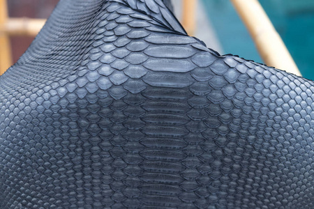 真正的 python 蛇皮皮革，蛇皮肤纹理背景。在背景上的游泳池
