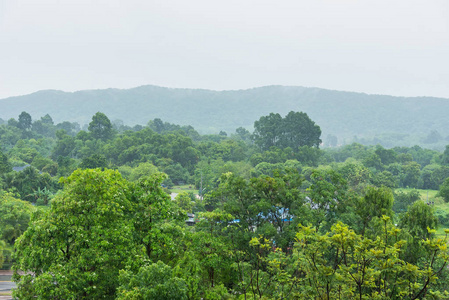 雨盖丰富的山, 树在前景。泰国