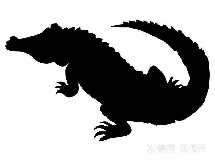 鳄鱼的剪影