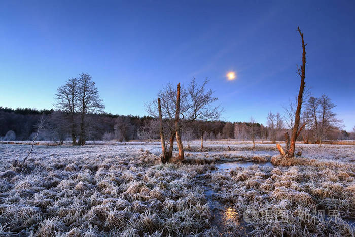 暮光之城在草地上