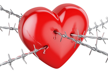 铁丝网.花.为您的设计带刺的铁丝网心一片黑铁丝网围着一颗红润的心