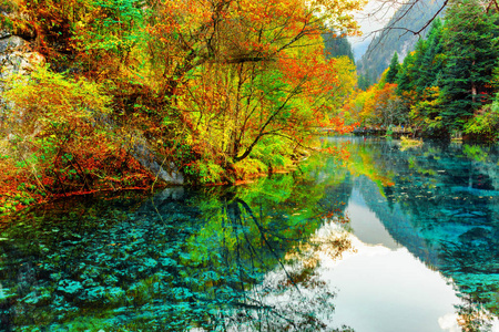 五朵花湖。多彩的秋天森林反映在水中