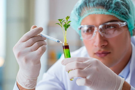 在工作室里菜生物技术科学家在实验室里工作照片