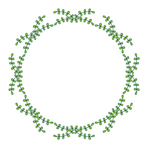 白色背景上的孤立简单绿色叶帧