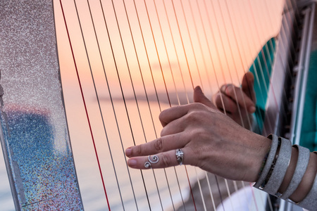 竖琴音乐会图片