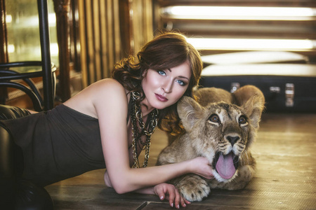 美丽的狮子图片