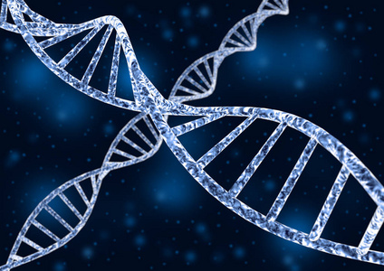 dna 链的特写照片