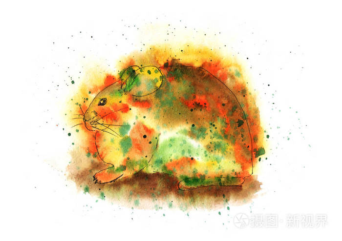 鼠兔的水彩插图