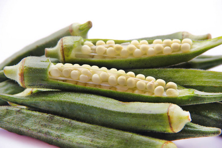 黄秋葵植物图片