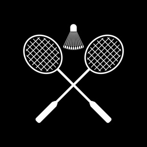 羽毛球图标.运动的象征.平照片