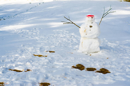 融化的雪人图片