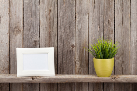 空白的相框和植物