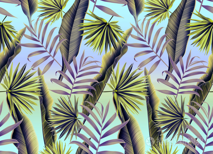 热带树叶无缝的花卉图案,在夏威夷风格照片-正版商用图片0nxec9-摄图