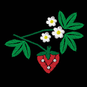 草莓与绿叶花刺绣图片