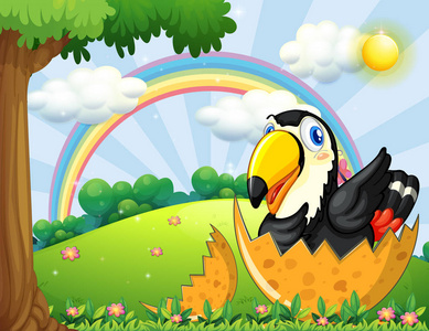 彩虹大嘴鸟图片