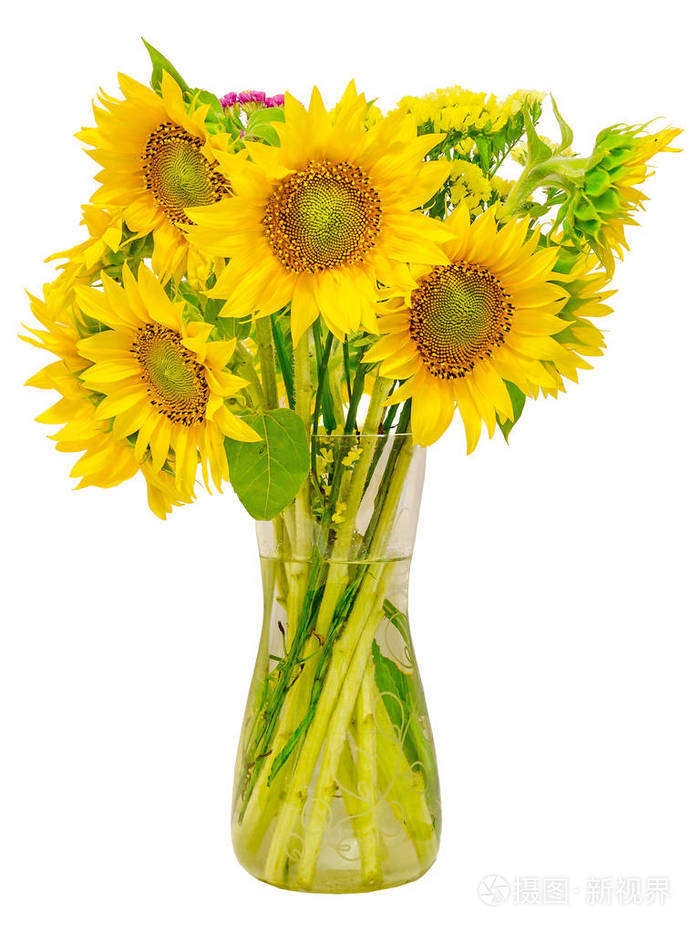 黄色的向日葵和透明的花瓶里,把门关上,孤立,切